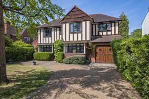 Photo 3- click for photo gallery